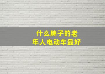 什么牌子的老年人电动车最好