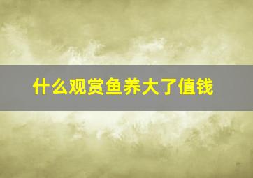 什么观赏鱼养大了值钱