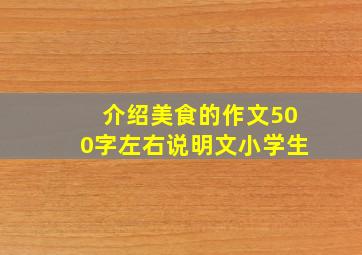 介绍美食的作文500字左右说明文小学生