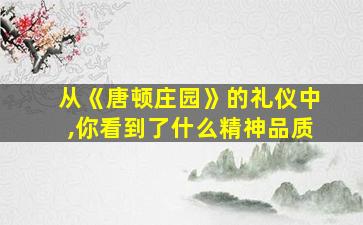 从《唐顿庄园》的礼仪中,你看到了什么精神品质