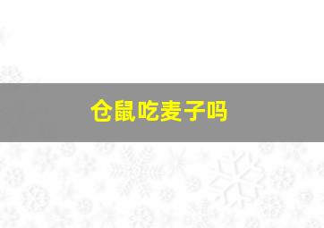 仓鼠吃麦子吗