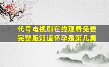 代号电视剧在线观看免费完整版知道怀孕是第几集