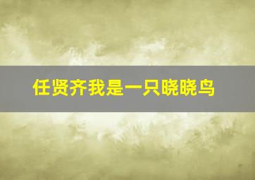 任贤齐我是一只晓晓鸟