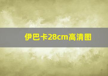 伊巴卡28cm高清图