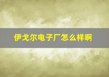 伊戈尔电子厂怎么样啊