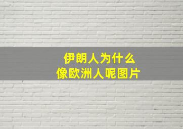 伊朗人为什么像欧洲人呢图片