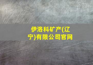 伊洛科矿产(辽宁)有限公司官网