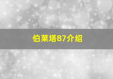 伯莱塔87介绍