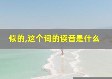 似的,这个词的读音是什么