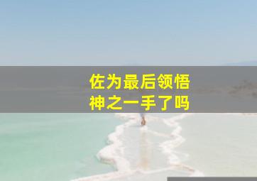 佐为最后领悟神之一手了吗