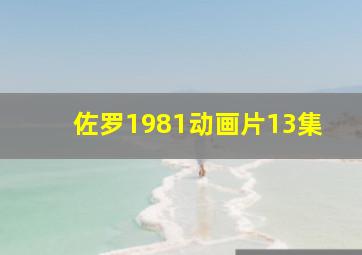 佐罗1981动画片13集