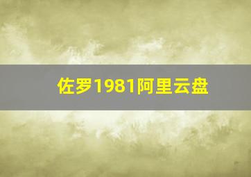 佐罗1981阿里云盘