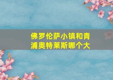 佛罗伦萨小镇和青浦奥特莱斯哪个大