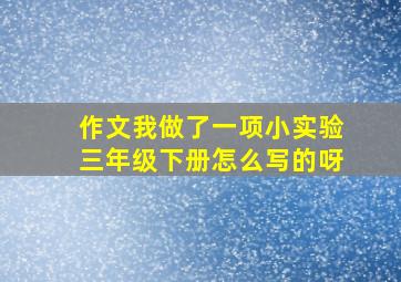 作文我做了一项小实验三年级下册怎么写的呀