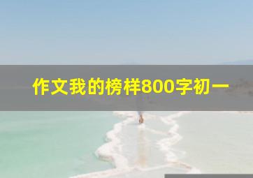 作文我的榜样800字初一