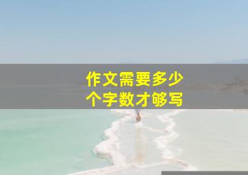 作文需要多少个字数才够写