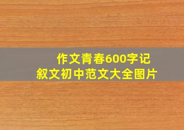 作文青春600字记叙文初中范文大全图片