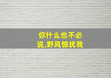 你什么也不必说,野风惊扰我