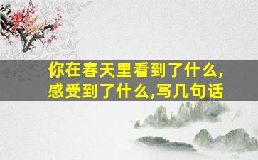 你在春天里看到了什么,感受到了什么,写几句话