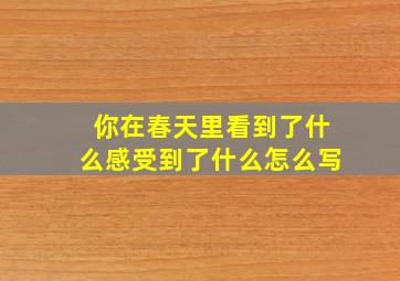 你在春天里看到了什么感受到了什么怎么写