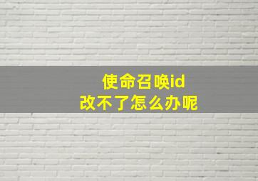 使命召唤id改不了怎么办呢