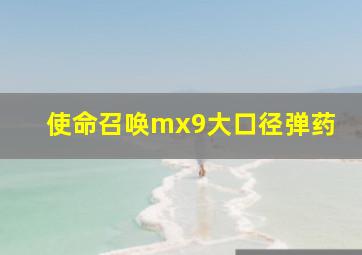 使命召唤mx9大口径弹药