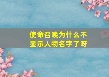 使命召唤为什么不显示人物名字了呀