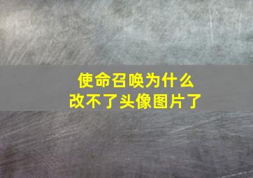 使命召唤为什么改不了头像图片了