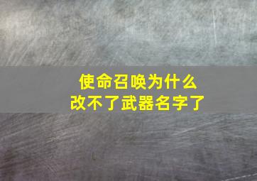 使命召唤为什么改不了武器名字了