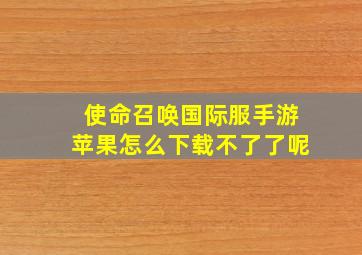 使命召唤国际服手游苹果怎么下载不了了呢