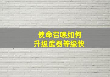 使命召唤如何升级武器等级快