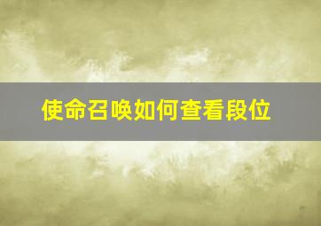 使命召唤如何查看段位