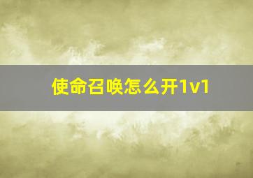 使命召唤怎么开1v1