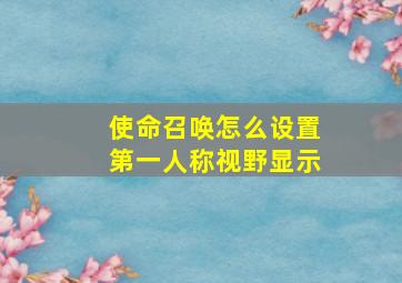 使命召唤怎么设置第一人称视野显示