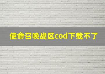 使命召唤战区cod下载不了