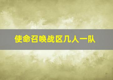 使命召唤战区几人一队