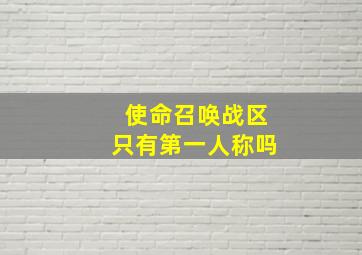 使命召唤战区只有第一人称吗