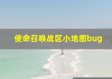 使命召唤战区小地图bug