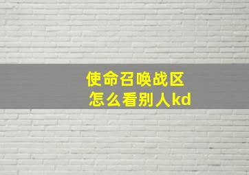 使命召唤战区怎么看别人kd