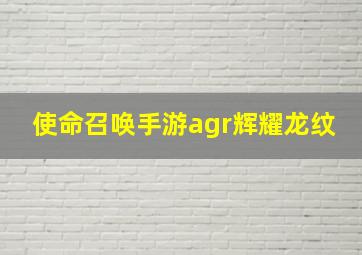 使命召唤手游agr辉耀龙纹