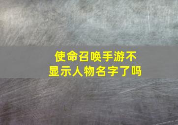 使命召唤手游不显示人物名字了吗