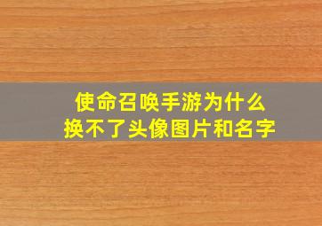 使命召唤手游为什么换不了头像图片和名字