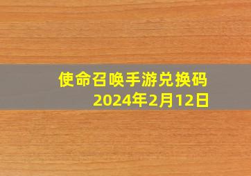 使命召唤手游兑换码2024年2月12日