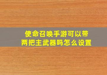 使命召唤手游可以带两把主武器吗怎么设置