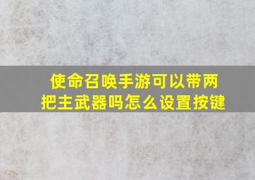 使命召唤手游可以带两把主武器吗怎么设置按键