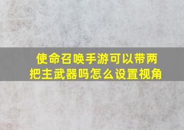 使命召唤手游可以带两把主武器吗怎么设置视角