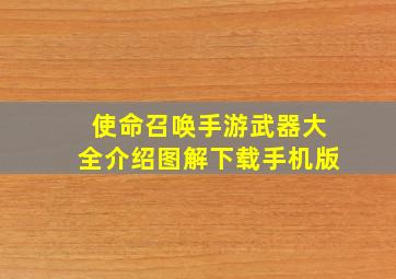 使命召唤手游武器大全介绍图解下载手机版