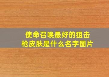 使命召唤最好的狙击枪皮肤是什么名字图片