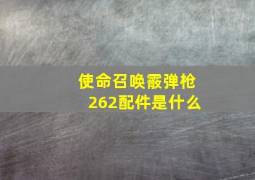 使命召唤霰弹枪262配件是什么