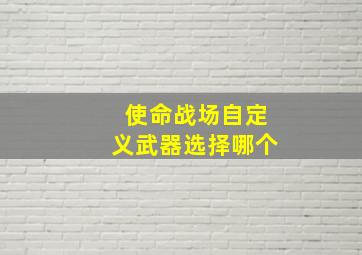 使命战场自定义武器选择哪个